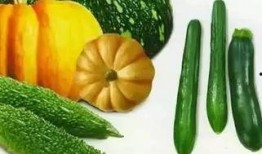 秋汐吃瓜,揭秘娱乐圈那些不为人知的幕后故事