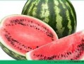 胃病的人吃瓜,西瓜的适量享用之道