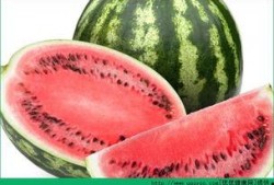 胃病的人吃瓜,西瓜的适量享用之道