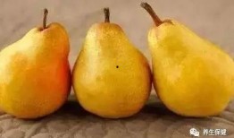 瓜地吃瓜的下一句,乐在其中