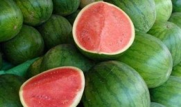 回观吃瓜,揭秘娱乐圈幕后真相