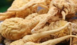 玛卡巴卡吃瓜,一场欢乐的夏日盛宴