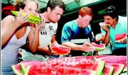 外国人吃瓜双11,外国人眼中的“吃瓜盛宴”