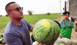 乌鲁木齐哪里可以吃瓜,乌鲁木齐瓜果飘香美食地图