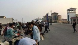 岚山映像吃瓜,揭秘网红美食背后的吃瓜故事