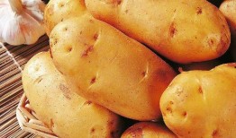 夏天吃瓜脚长疙瘩,揭秘夏日脚部健康之谜