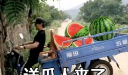 今日吃瓜骑行圈,吃瓜热议，揭秘骑行圈那些事儿