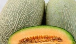 月经期间吃哈密瓜,月经期间食用哈密瓜的影响与注意事项