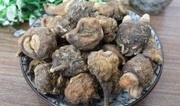 玛卡巴卡吃瓜,一场欢乐的夏日盛宴