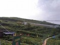塞罕坝吃瓜事件
