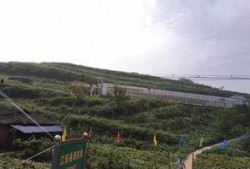 塞罕坝吃瓜事件