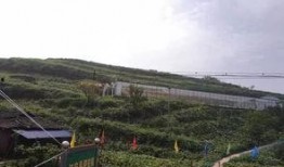 塞罕坝吃瓜事件