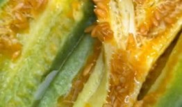 海月吃瓜视频,揭秘娱乐圈幕后故事