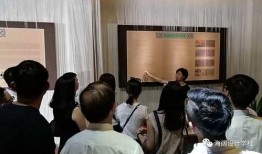 音乐动听吃瓜群众,音乐的魅力与共鸣